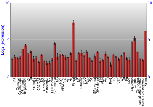 Expression graph
