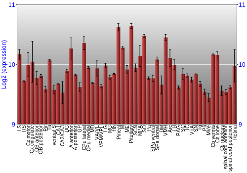 Expression graph