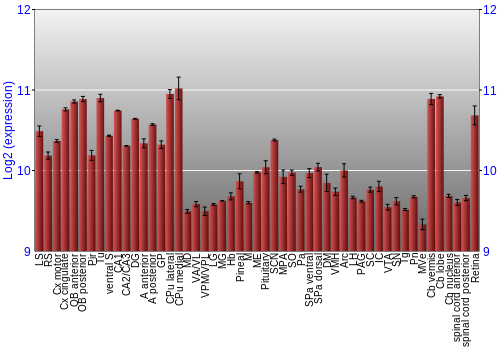 Expression graph