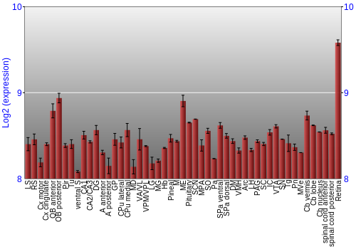 Expression graph