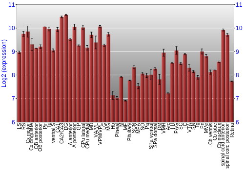 Expression graph