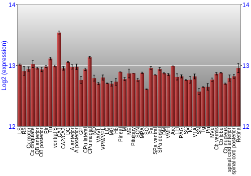 Expression graph