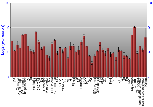 Expression graph