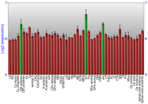 Multi-state expression graph