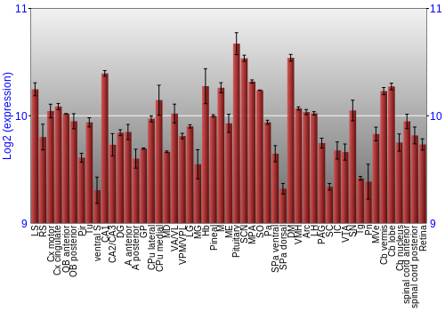Expression graph