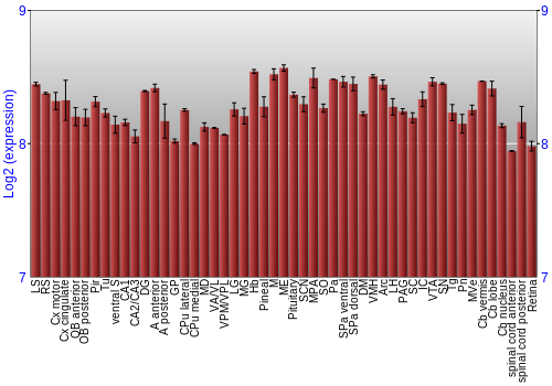 Expression graph