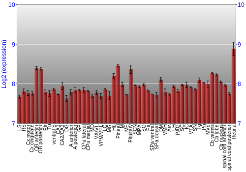 Expression graph