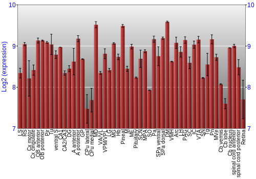 Expression graph