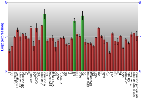 Multi-state expression graph