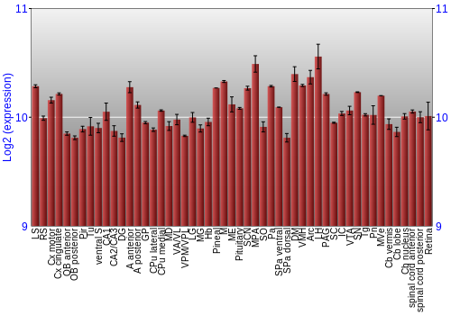 Expression graph