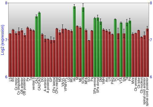 Multi-state expression graph