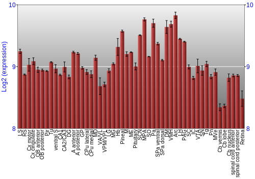 Expression graph