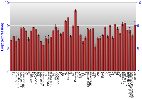 Expression graph
