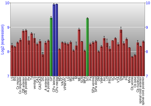 Multi-state expression graph