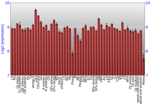 Expression graph