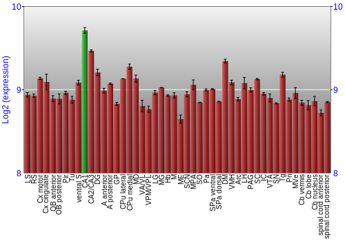 Multi-state expression graph