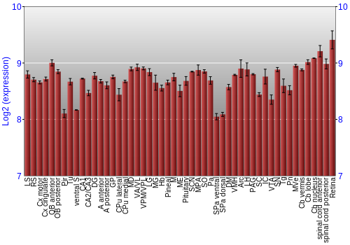 Expression graph