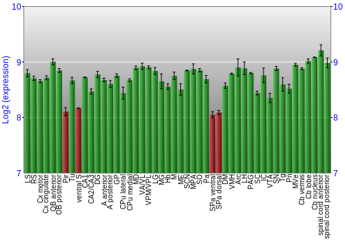 Multi-state expression graph
