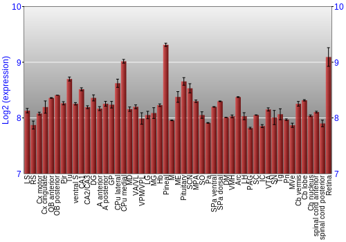 Expression graph