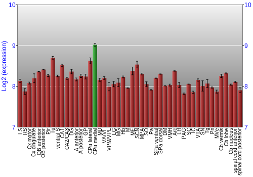 Multi-state expression graph
