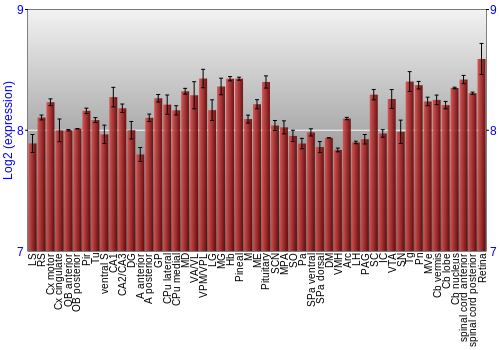 Expression graph