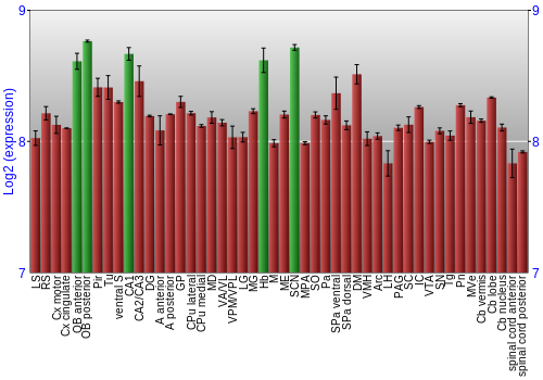 Multi-state expression graph