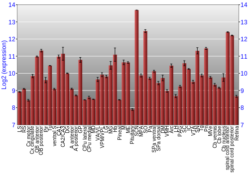 Expression graph