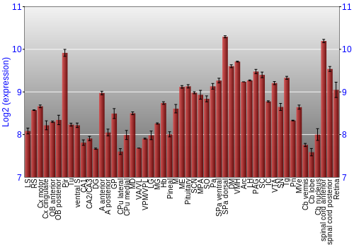 Expression graph