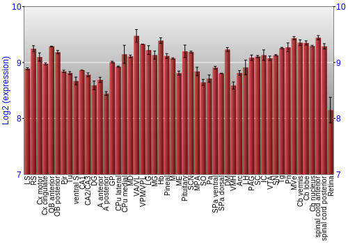 Expression graph