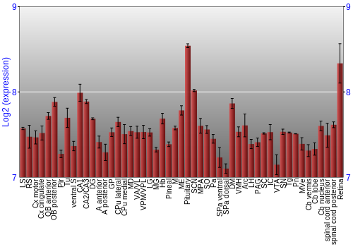 Expression graph