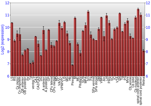 Expression graph