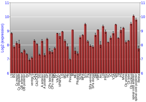 Expression graph