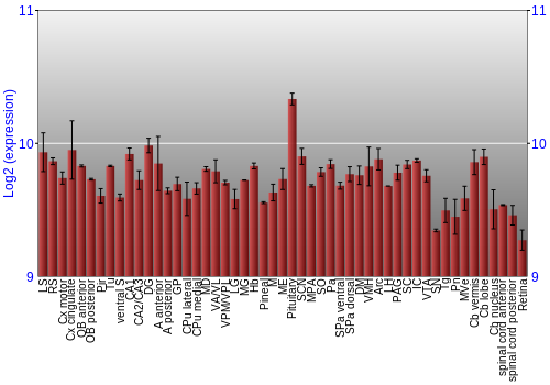 Expression graph