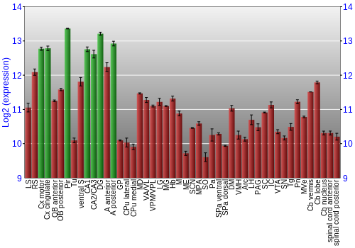 Multi-state expression graph