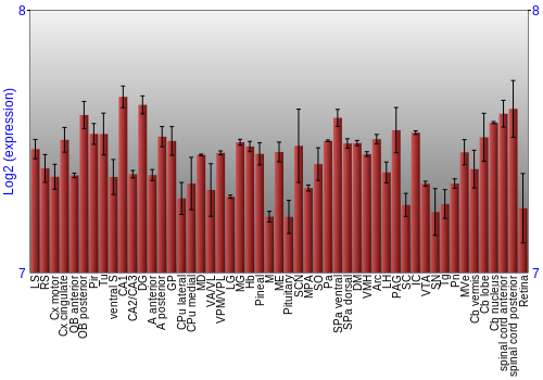 Expression graph