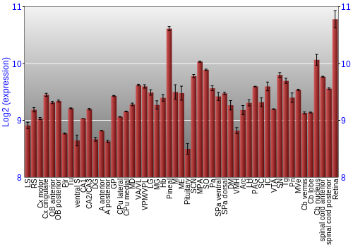 Expression graph