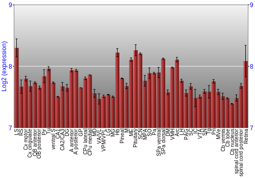 Expression graph