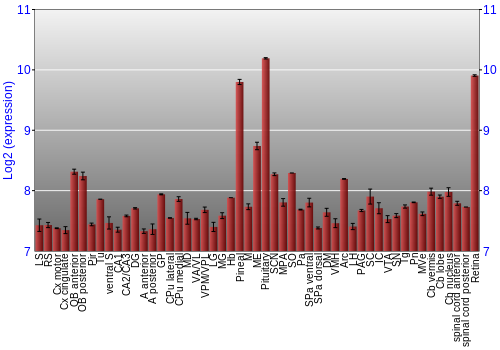 Expression graph