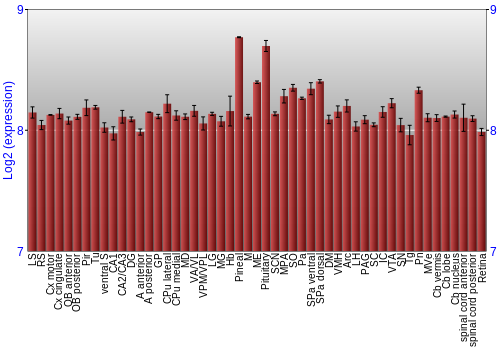 Expression graph