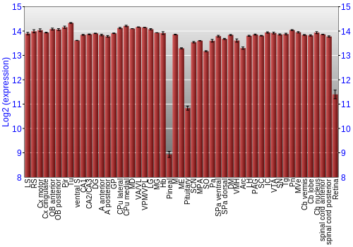 Expression graph