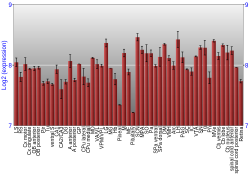 Expression graph