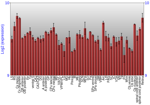 Expression graph