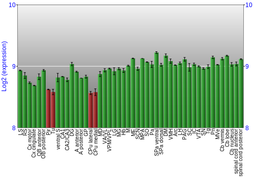 Multi-state expression graph