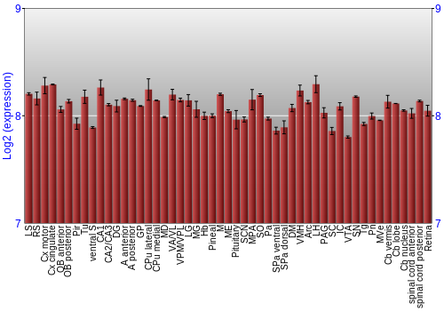 Expression graph