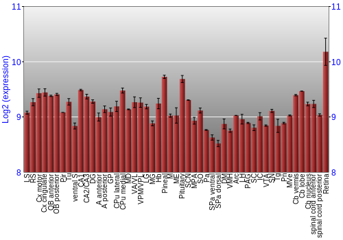 Expression graph