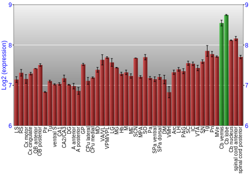 Multi-state expression graph