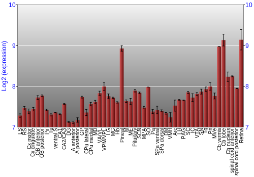 Expression graph