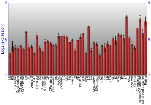 Expression graph
