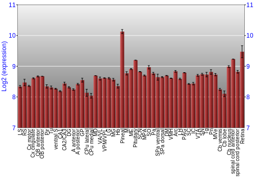 Expression graph