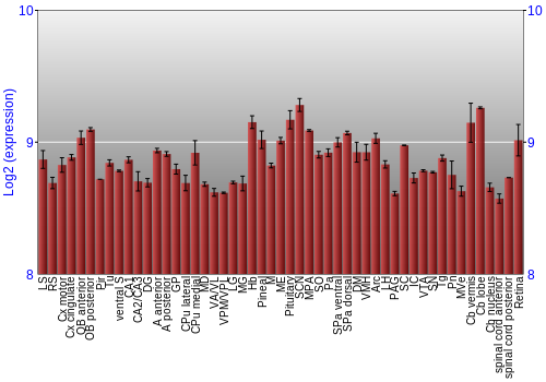 Expression graph